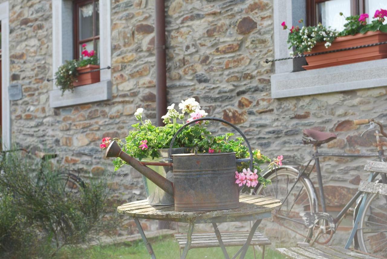 Petite Reine Villa Bertrix Exterior photo